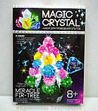 Набір із вирощування кристалів Диво-ялинка (ОМС-01-01), фото 2