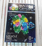Набір з вирощування кристалів Дерево (ОМС-01-04), фото 6