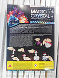 Набір з вирощування кристалів Квітка (ОМС-01-08), фото 7