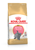 Royal Canin Kitten British Shorthair сухий корм для кошенят британської кішки до 12 місяців 2КГ