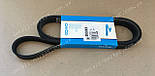 Ремінь генератора Авео Dayco, фото 2
