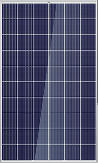Trina Solar TSM-275PD05 5bb