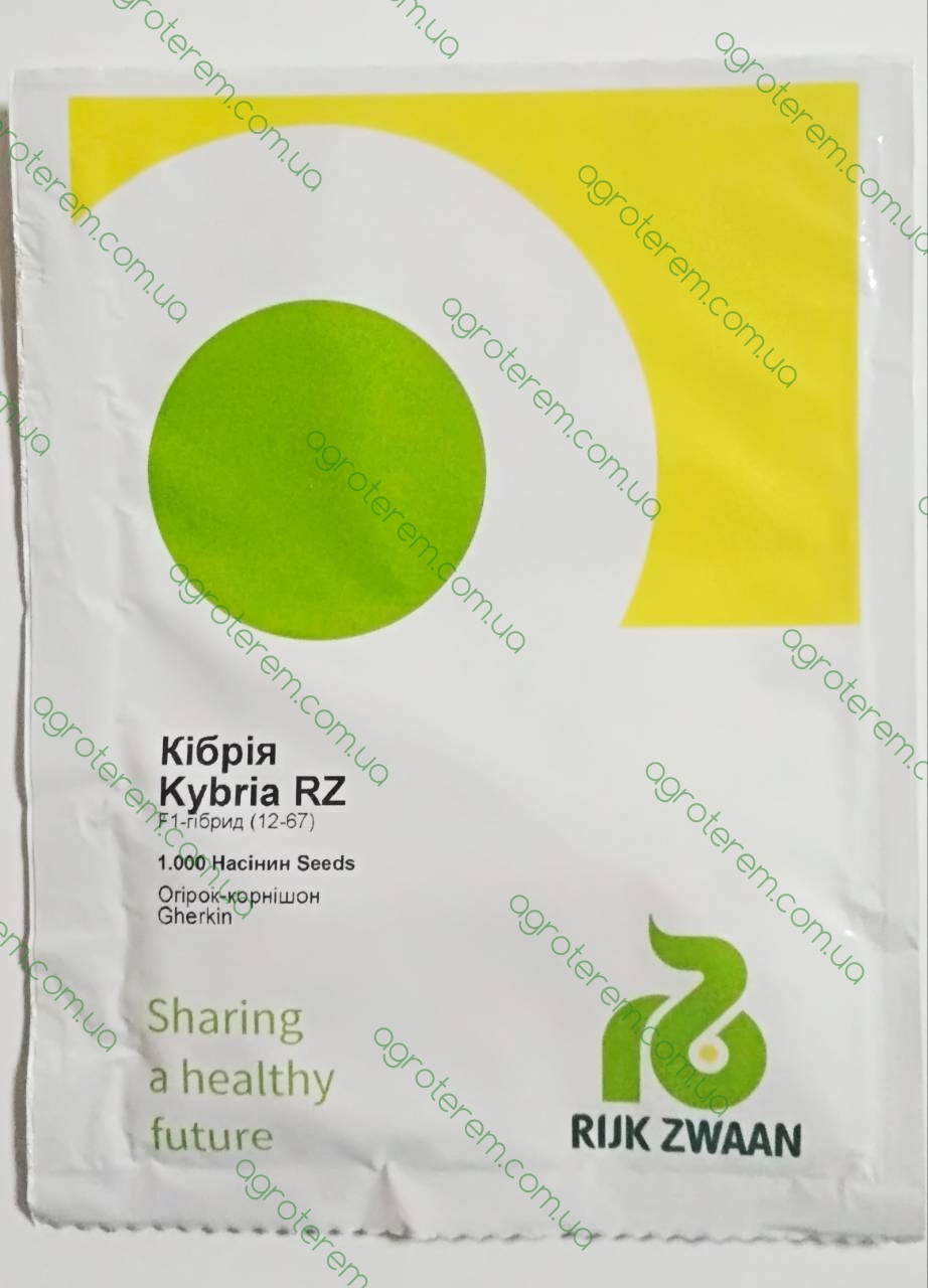 Насіння огірка Кібрія KYBRIA F1 1000 н.