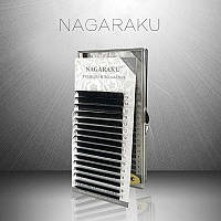 Nagaraku Мікс B 0.07