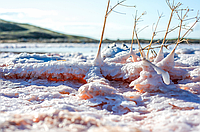 Сіль, вода і цілющі грязі Сиваш