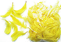 Перья желтые для декорирования (120 шт, 5-10 см)