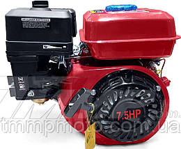 Двигун для мотоблока 170F d = 19 mm під шпону (7,5 HP, датчик оливи, паперовий фільтр) Артикул: D-1024, фото 3