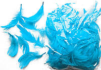 Перья голубые для декорирования (120 шт, 5-10 см)