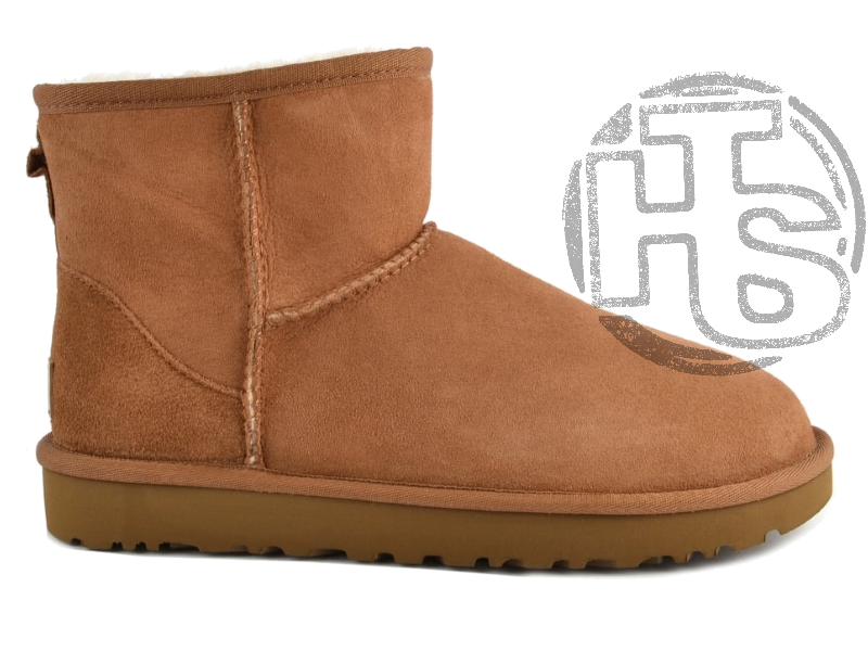 UGG CLASSIC MINI Ⅱ Купити UGG Australia США Classic Mini II Рудий цільна овчина
