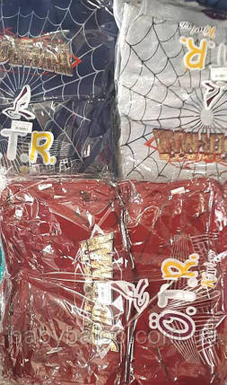 Толстовка для хлопчик "Spider" начісування(від 3 до 6 років), фото 3