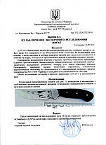 Ніж мисливський "Голова ведмедя" 250 мм у шкіряному чохлі, фото 5
