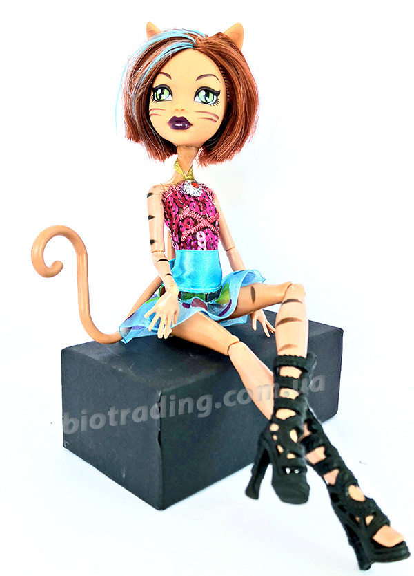 Кукла Monster High Монстер Хай серия Weird Girl Шарнирная (27 см) TOY005 - фото 2 - id-p792456469