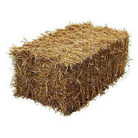 Солома пшенична в тюках