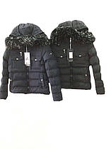 Куртки для хлопчиків утеплені оптом, розміри 6-16 років Nature, арт. RSB 5592