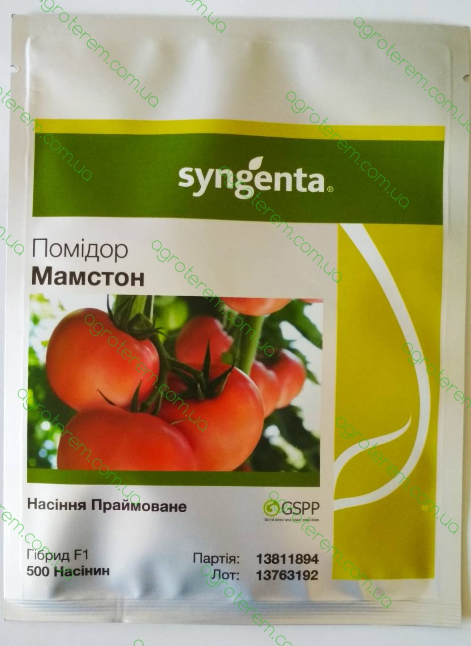 Насіння томату Мамстон F1 (Mamston F1) 500 н. д/п 2019, фото 1