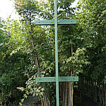 Клен пальмолистий, Клен японський, Acer palmatum, 350 см, фото 4