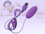 Вібратор яйце з живленням від USB Round, фото 4
