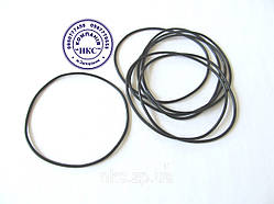 Кільце сітки фільтра великого "Agroplast".