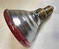 Інфрачервона лампа PAR38 230V, 100W E27/5000h, HELIOS (Польща), фото 3