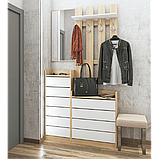 Дзеркало Борнео (Фенікс) 450х20х900 мм, фото 2