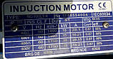 Електродвигун MS 160M-4 11.00 KW B5 400/50HZ 690V, фото 2