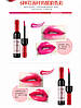 Помада для губ пляшка вина BW01 BIOAQUA Wine Lip Tint (7г), фото 4