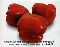 Насіння Перець солодкий Катан F1 (KS 04 F1),  500 насінин Kitano Seeds