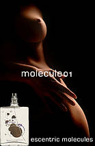 Escentric Molecules Molecule 01 туалетна вода 100 ml. (Тестер Ексцентрик Молекула Молекула 01), фото 5