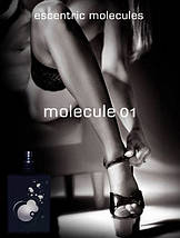 Escentric Molecules Molecule 01 туалетна вода 100 ml. (Тестер Ексцентрик Молекула Молекула 01), фото 4