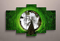 Картина модульная дерево зеленая трава красивый пейзаж рыбий глаз 125х70 из 5 частей