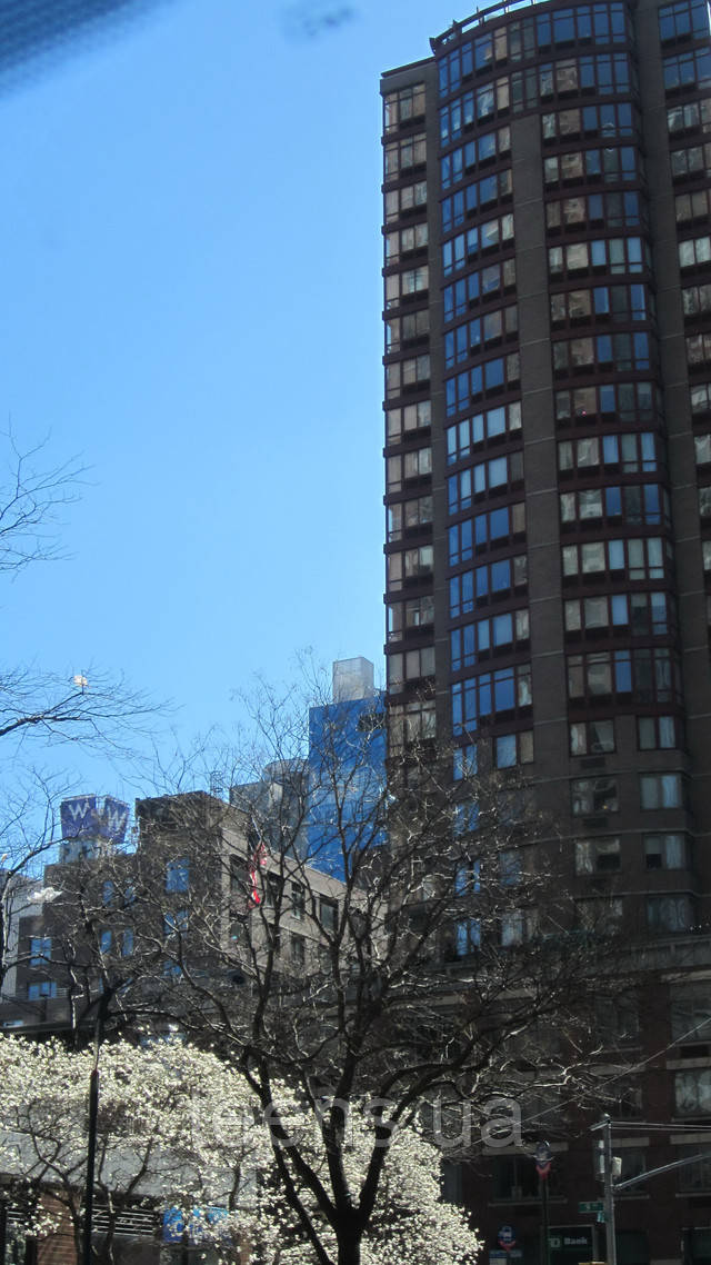 Нью-Йорк,весняний Манхеттан Розділ Трикотажні спортивні костюми жіночі - фото teens.ua - Нью-Йорк,весняний Манхеттан