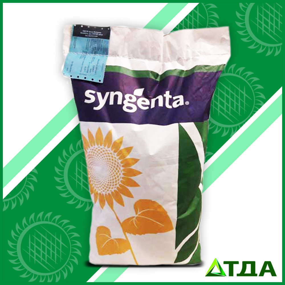 Насіння соняшнику Конді Круїзер