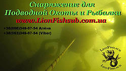 LionFish.sub - наш ассортимент, небольшой видео-ролик и фотографии  
