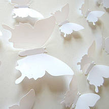 Об'ємні 3D метелики для декору однотонні білі, фото 3