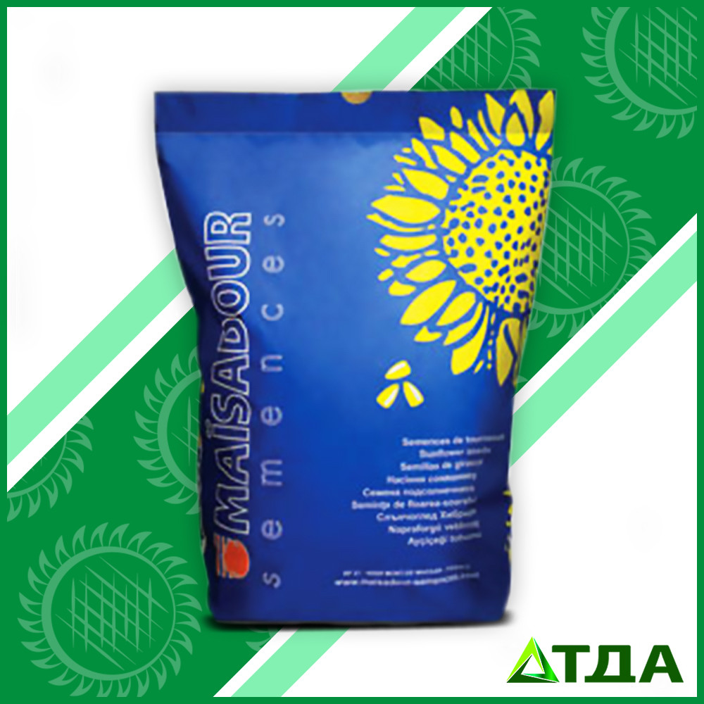 Насіння соняшнику Mas 93.CP/93 Мас.СР Clearfield Plus