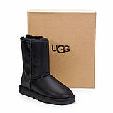 Натуральні жіночі уги UGG Australia Zip Back Lether (змійка ззаду) 36 Розмір у наявності.
 розмір у наявності, фото 5