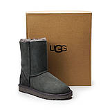 Натуральні жіночі уги UGG Australia Zip Back Grey (змійка ззаду) 36 розміри в наявності., фото 2