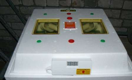 Функції терморегуляторів для інкубатора Функції терморегуляторів