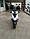 Скутер Spark SP150S-17R (150%б.см), фото 6