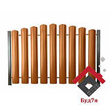 Штахетник металевий Золотий дуб, фото 3