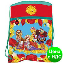 Мішок для взуття зі змійкою JO-15101 "Українські дівчата WX"