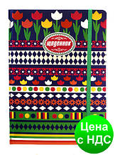 Щоденник шкільний HDU040 A4 (укр) у твердій обкладинці на гумці