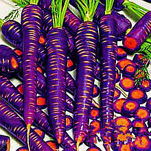 Насіння "Морква Фіолетове" (суміш сортів)