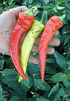 Перець гострий Вогнівець (Ohnivec) 1000 сем.  Semo 