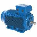 Асинхронні електродвигуни WEG