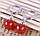 Срібні сережки Шарм із червоним агатом стерлінгове срібло 925 проби , фото 3
