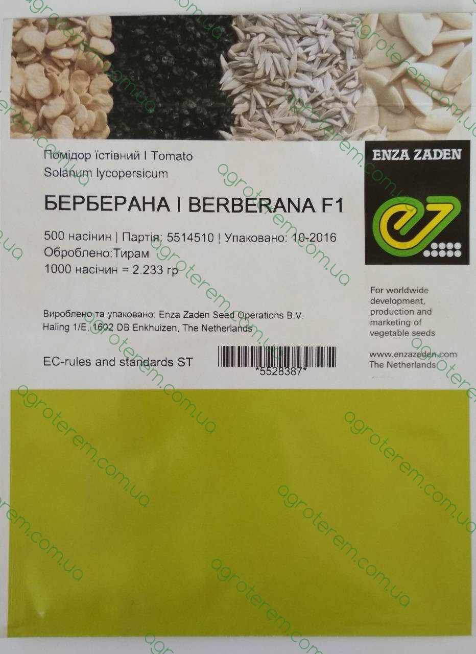 Насіння томату Берберана F1 (Berberana F1) 500 н. д/п 12/2012, фото 1