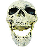 Череп с подвижной челюстью оригинальный подарунок прикольный, фото 2