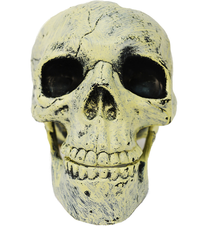 Череп с подвижной челюстью оригинальный подарунок прикольный, фото 1