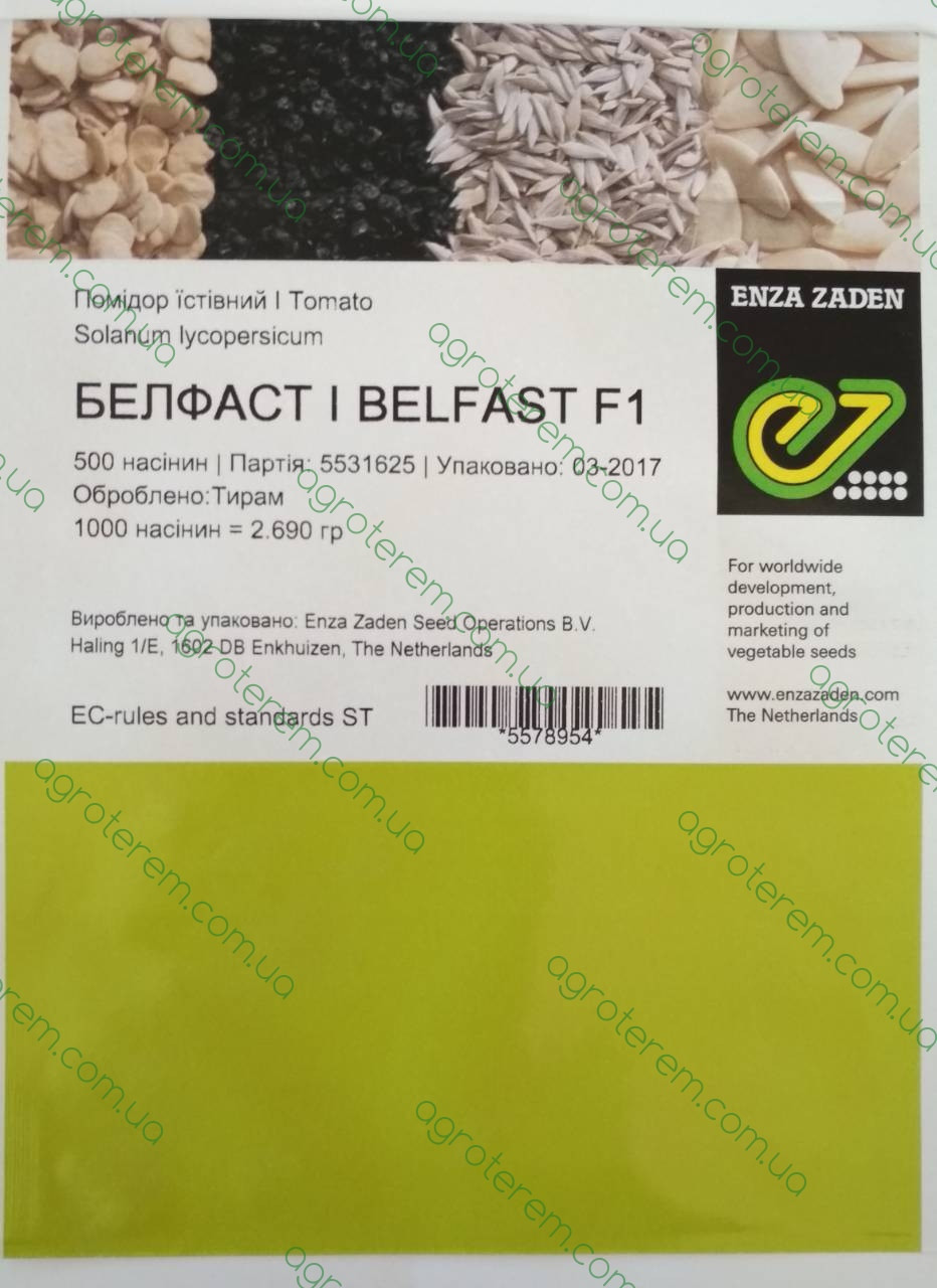 Насіння томату Белфаст F1 (Belfast F1) 500н д/п 2017, фото 1